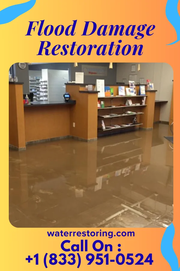Flood Damage Restoration in New Castle, DE