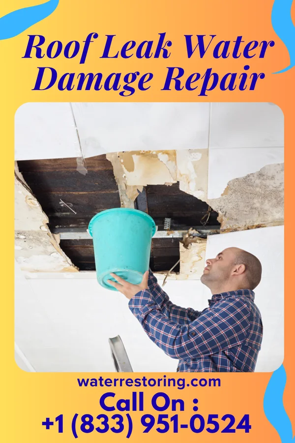 Roof Leak Water Damage Repair in New Castle, DE