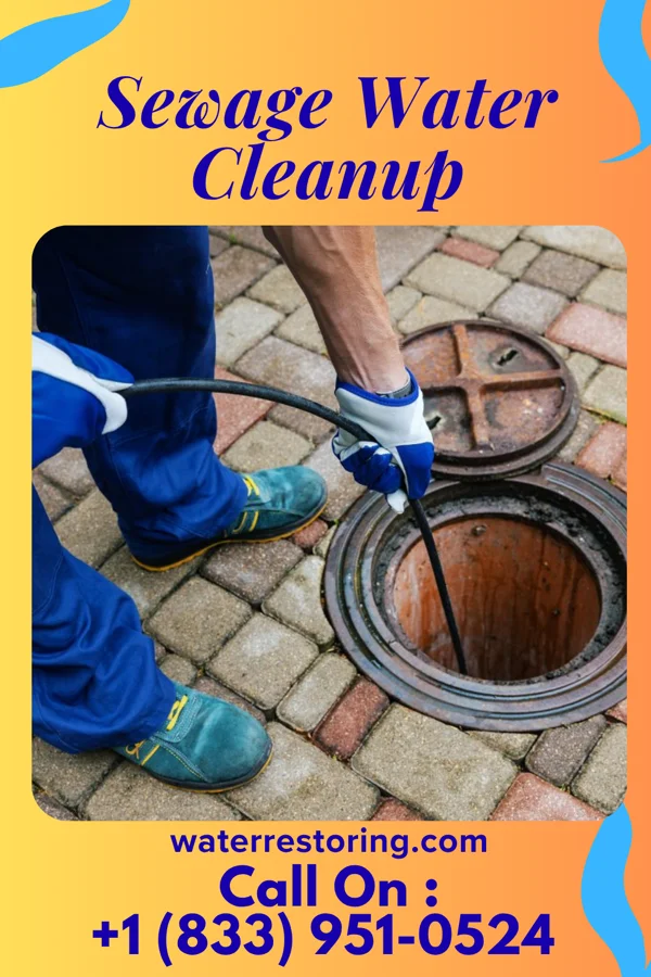 Sewage Water Cleanup in New Castle, DE