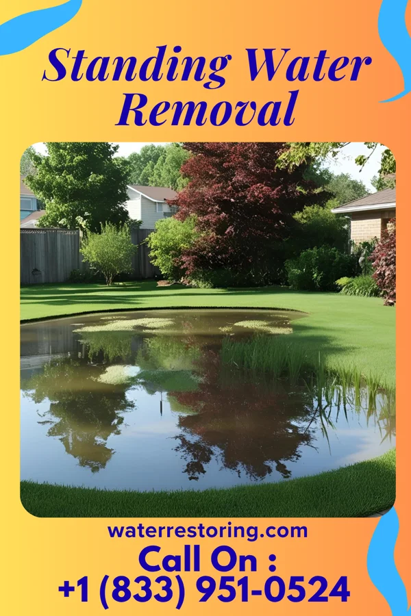 Standing Water Removal in New Castle, DE